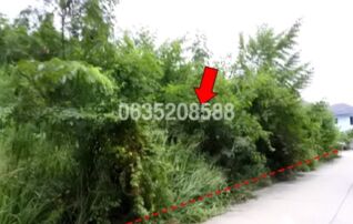 ขายที่ดิน สวนวลีแลนด์ 4 (Baan Suan Walee Land 4)