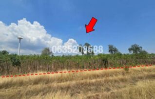 ขายที่ดิน ถนนถนนสุรนารายณ์ (ทล.205)