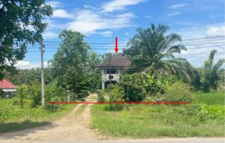 ทรัพย์ธนาคารโดย KASIKORNBANK บ้านเดี่ยว ถนนสายน่าน - ทุ่งช้าง (ทล.101)
