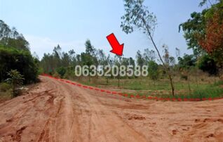 ขายที่ดิน ถนนบ้านหนองบัวขาว-บ้านโสกตลับ (ชย.3001)