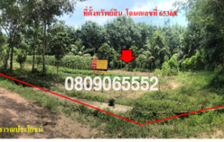 💖 ที่ดิน เมืองพัทลุง ราคาพิเศษ! 💖 