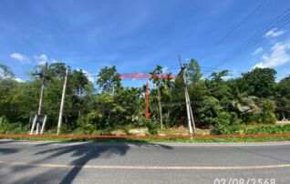 ทรัพย์ธนาคารโดย KASIKORNBANK ที่ดิน ถนนสายป่าบอน-คลองหมวย(ทล.4122)