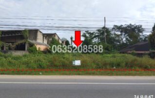 ขายที่ดิน ถนนสายบ้านส้อง-พระแสง (ทล.4009)