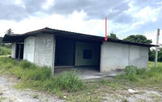ทรัพย์ธนาคารโดย KASIKORNBANK บ้านเดี่ยว ถนนสายบ้านบึงหล่ม - บ้านหนองไทรทอง