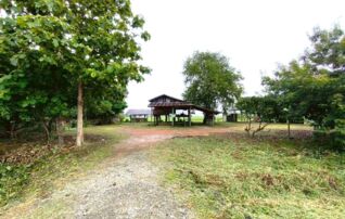 ทรัพย์ธนาคารโดย KASIKORNBANK บ้านเดี่ยว ถนนสายบ้านสันต้นมื่น - บ้านแม่ต๋ำน้อย (ทล. 1174)