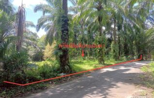 ทรัพย์ธนาคารโดย KASIKORNBANK ที่ดิน ซอยนายเริ่ม - เทศบาล 1 ถนนเพชรเกษม (ทล.4)