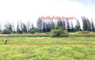 ทรัพย์สถาบันโดย KASIKORNBANK ที่ดิน ถนนสายบ้านท่าทองใหม่-กระแดแจะ (สฏ.2029)