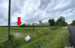 ขายที่ดิน ถนนสายบ้านสี่แยก-บ้านนายอ