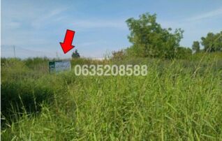 ขายที่ดิน ศรีเจริญทอง