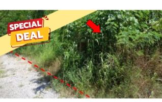 ทรัพย์สถาบันโดย บริษัท บริหารสินทรัพย์สุขุมวิท จำกัด ที่ดิน เพชรบูรณ์ฮิลล์ แอนด์ การ์เด้น