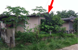 ทรัพย์ธนาคารโดย scb บ้านเดี่ยว  ถนนแยกจากถนนสายเกษตรวิสัย-สุวรรณภูมิ
