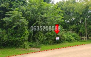 ขายที่ดิน ถนนถนนกาญจนวนิช (ทล.407)