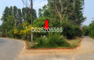 ขายที่ดิน ซอยเทศบาล 2 ถนนสุวรรณศร (ทล.33)