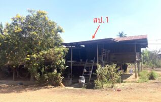 ทรัพย์ธนาคารโดย KASIKORNBANK บ้านเดี่ยว ถนนสรรคบุรี - ชัณสูตร (ทล.3251)