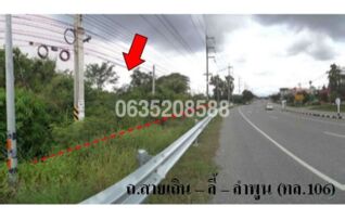 ขายที่ดิน ถนนสายเถิน-ลี้-ลำพูน (ทล.106)