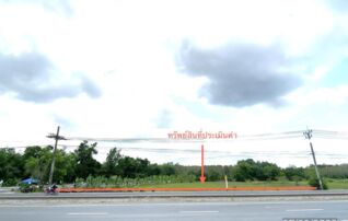 ทรัพย์สถาบันโดย KASIKORNBANK ที่ดิน ถนนสายท่าประจะ-บรรจบทางหลวง 41 (ทล.41)