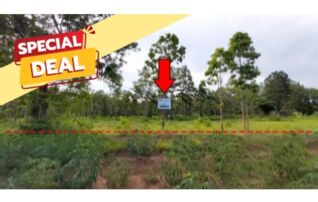 ทรัพย์สถาบันโดย บริษัท บริหารสินทรัพย์สุขุมวิท จำกัด ที่ดิน ถนนสายบ้านยางบ่า-โคกสูง (ชย.4077)