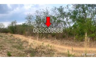 ขายที่ดิน ถนนสายปากช่อง-ช้างตะลูด (ทล.2275)