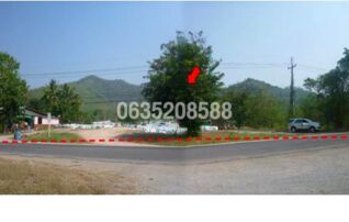 ขายที่ดิน ถนนหนองพลับ-ป่าละอู (ปข.2052)