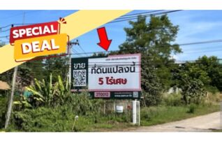 ทรัพย์สถาบันโดย บริษัท บริหารสินทรัพย์สุขุมวิท จำกัด ที่ดิน ถนนเชียงใหม่-ฝาง (ทล.107)