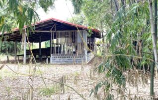 ทรัพย์ธนาคารโดย KASIKORNBANK บ้านเดี่ยว ถนนสายแยก ทล.202 - บ้านส้มโฮงเหนือ
