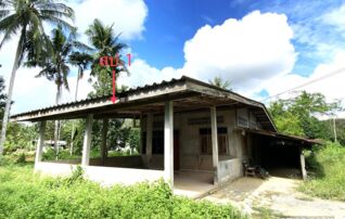 ทรัพย์ธนาคารโดย KASIKORNBANK บ้านเดี่ยว ถนนสายแยกสาย 41 - ท่าประจะ (ทล.4018)