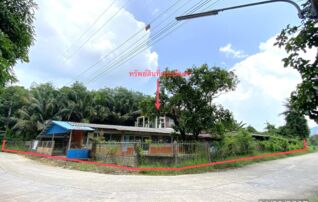 ทรัพย์ธนาคารโดย KASIKORNBANK บ้านเดี่ยว ซอยสายห้วยไก่-ม่วงขี้แร้ง ถนนสายบ้านปรางค์ชัย - บ้านท่าสำเภาใต้