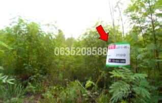 ขายที่ดิน วังแก้ว ปาร์คฮิลล์ รีสอร์ท