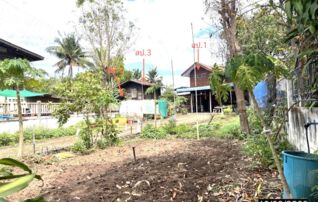 ทรัพย์ธนาคารโดย KASIKORNBANK บ้านเดี่ยว ถนนสายบ้านโคกประสิทธิ์ - บ้านโนนชัย