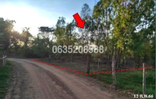 ขายที่ดิน ถนนสายบ้านโพนงาม-บ้านคุ้มกลาง (มค.3058)