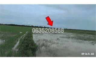 ขายที่ดิน ถนนสายชะอำ-คลองโคน (พบ.4028)