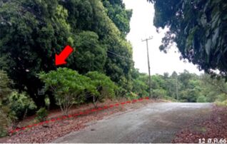 ขายที่ดิน กระทิง คันทรี รีสอร์ท