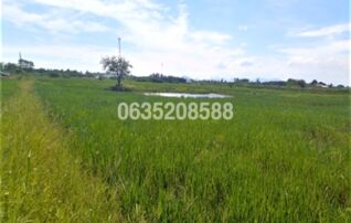 ขายที่ดิน ถนนสายชะอำ-คลองโคน (พบ.4028)