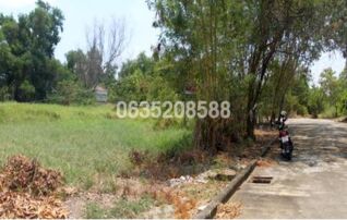 ขายที่ดิน ธานนท์ กอล์ฟวิว แอนด์ สปอร์ตคลับ