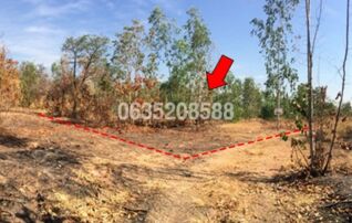 ขายที่ดิน มรกต