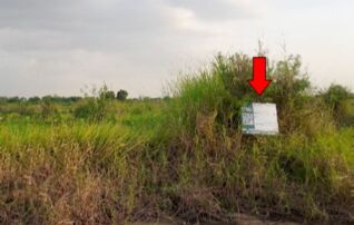 ทรัพย์สถาบันโดย บริษัท บริหารสินทรัพย์สุขุมวิท จำกัด ที่ดิน สุรีย์ปาร์ค