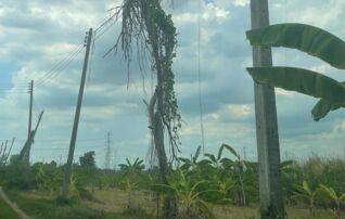 ทรัพย์สถาบันโดย GHB ที่ดิน สิชล
