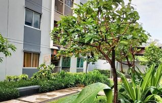 ทรัพย์สถาบันโดย GHB คอนโด เดอะ พอยต์ คอนโด รังสิต-คลอง 6 (The Point Condo Rangsit-Klong 6)