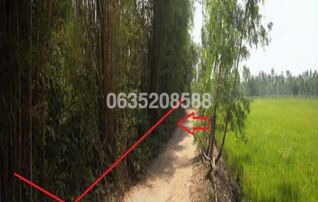 ขายที่ดิน ถนนสายบ้านหนองปลามัน-บ้านโนนมะงอง