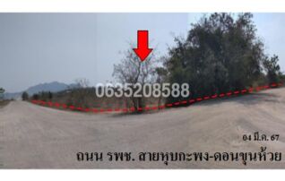ขายที่ดิน ถนนเพชรเกษม(ทล.4)