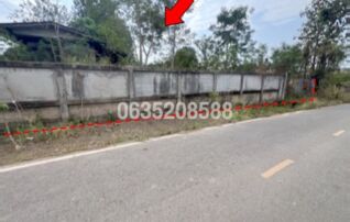 ขายบ้านเดี่ยว ถนนบ้านหมู่ที่ 11 - บ้านหมู่ที่ 17