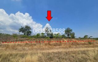 ขายที่ดิน ถนนถนนสุรนารายณ์ (ทล.205)