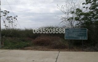 ขายที่ดิน ปึกเตียนธรรม ปึกเตียนทอง (โครงการ ปึกเตี