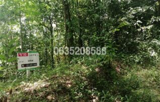 ขายที่ดิน ถนนสายบุรี-กะพ้อ (ทล.4060)