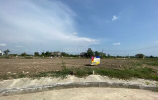 💖 ที่ดิน บางพลี ราคาพิเศษ! 💖