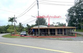 ทรัพย์ธนาคารโดย KASIKORNBANK บ้านเดี่ยว ถนนสายบ้านวังขรี - ไทรห้อง (นศ.3022)