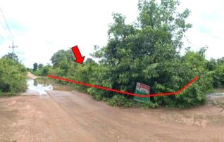 ทรัพย์ธนาคารโดย KASIKORNBANK ที่ดิน ถนนบ้านศาลาไชย - ม่อนแสนศรี(ลป.3161)