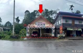 ขายบ้านเดี่ยว ถนนนครศรีธรรมราช-พรหมคีรี (ทล.4016)