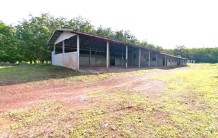 ทรัพย์ธนาคารโดย KASIKORNBANK บ้านเดี่ยว ถนนสายหนองเม็ก - บ้านดุง (ทล.2096)