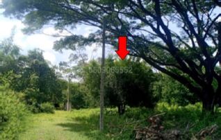 ขายที่ดิน สาริกาชาเลต์